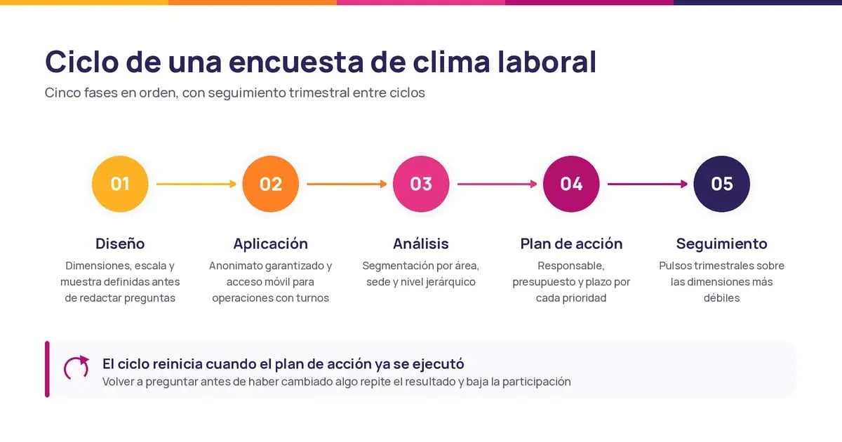 Ciclo de cinco fases de una encuesta de clima laboral: diseño, aplicación, análisis, plan de acción y seguimiento